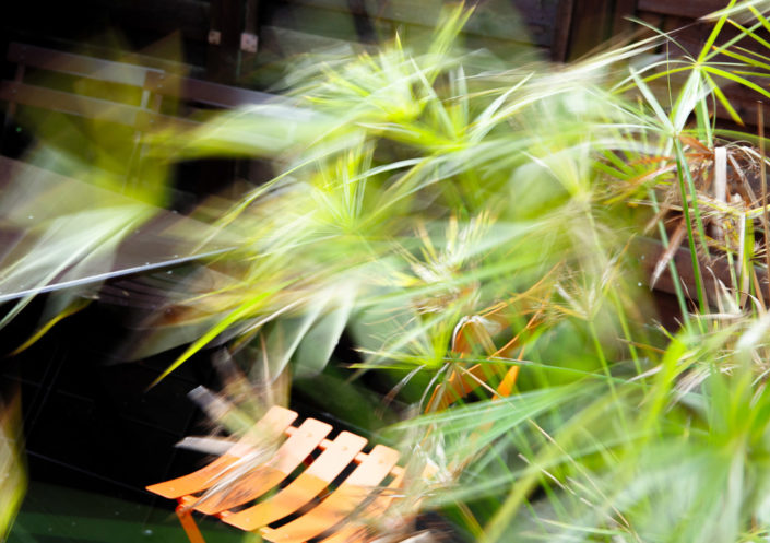 vent flou feuillage vert carole doussin photographe